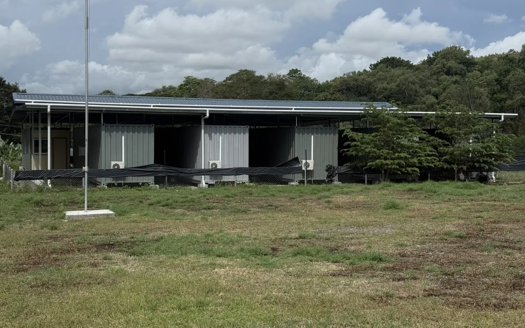 NHC Archives Building